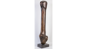 Jean Houben - The bone
